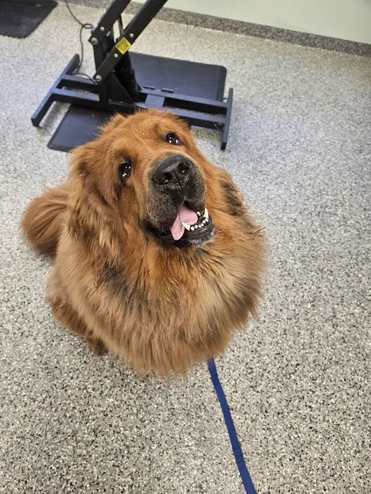 KB Animal Clinic Picture 5