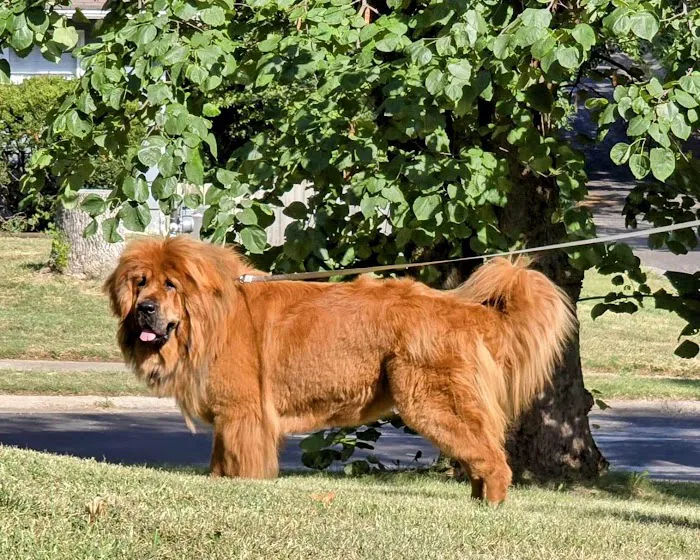 KB Animal Clinic Picture 7