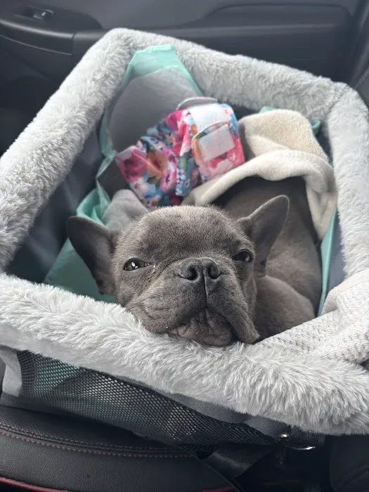 KB Animal Clinic Picture 10