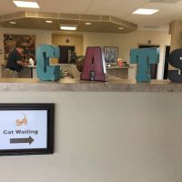 Chipman Road Animal Clinic ico