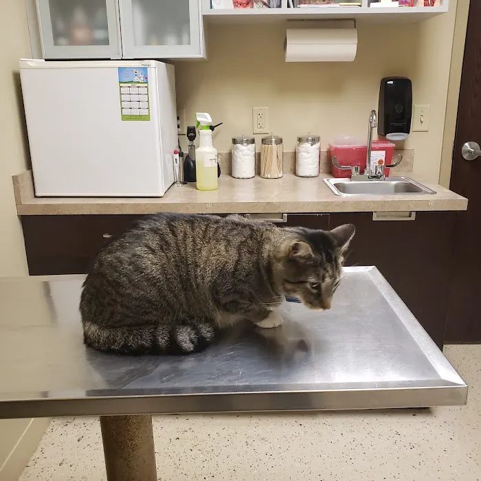 Chipman Road Animal Clinic Picture 2