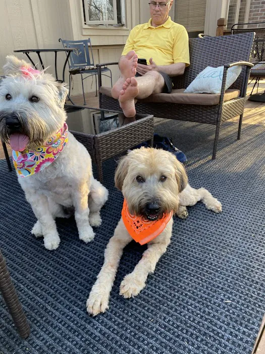 Lee's Summit Animal Hospital North Picture 1