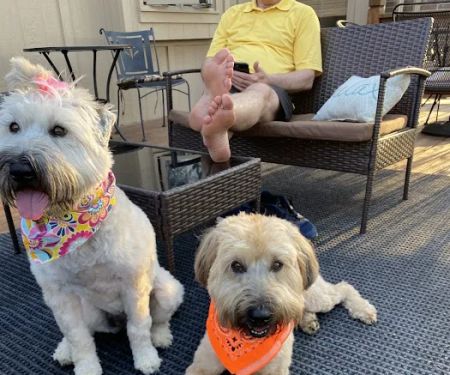 Lee's Summit Animal Hospital North