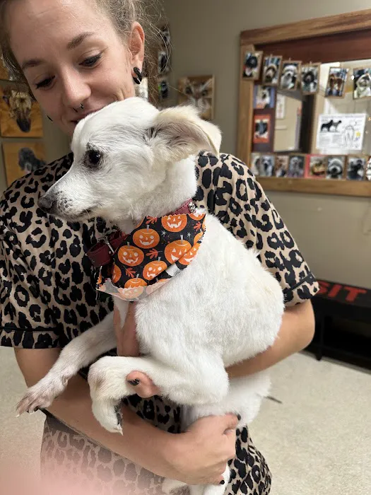 Lee's Summit Animal Hospital North Picture 6