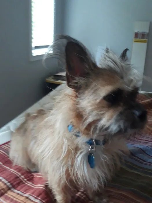 Lee's Summit Animal Hospital North Picture 10