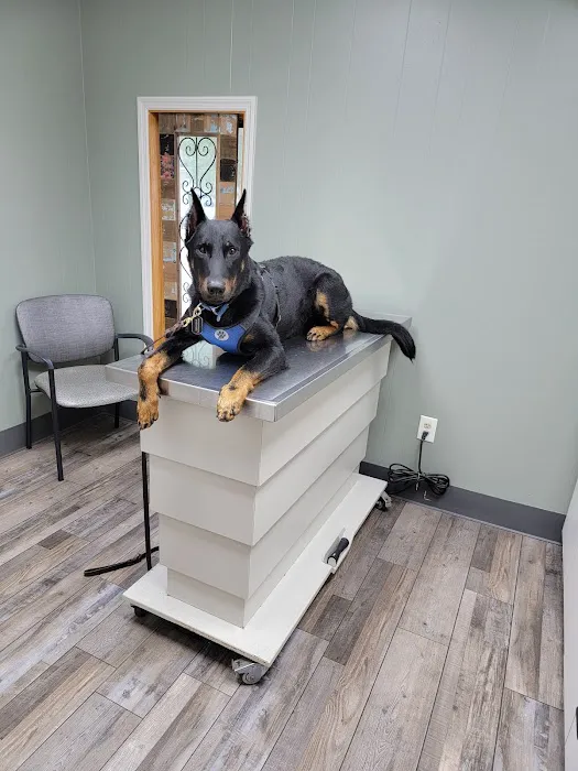 Lee's Summit Animal Hospital Picture 4