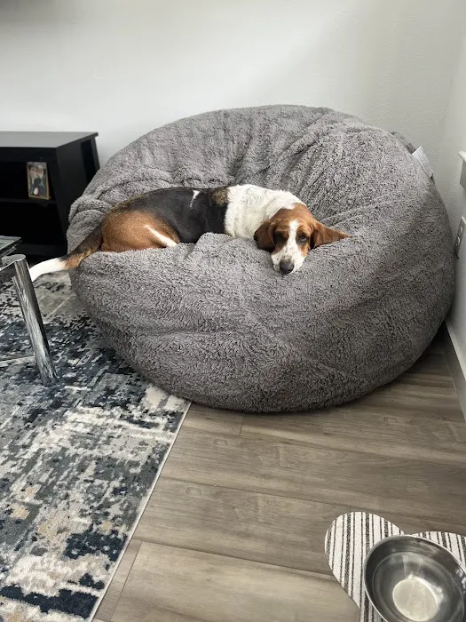 Lee's Summit Animal Hospital Picture 2