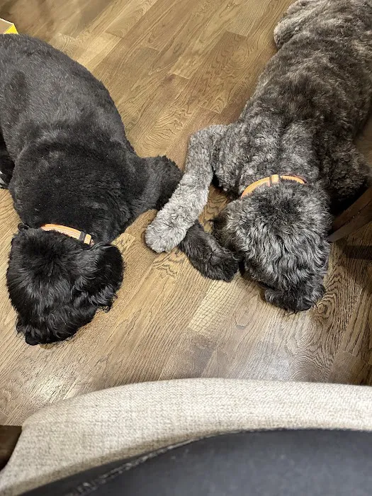 Strothertowne Pet Hospital Picture 4