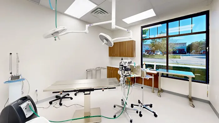 Strothertowne Pet Hospital Picture 10