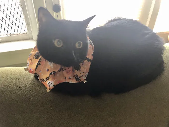 Vetco Total Care Animal Hospital Picture 2