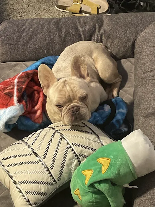 Vetco Total Care Animal Hospital Picture 3