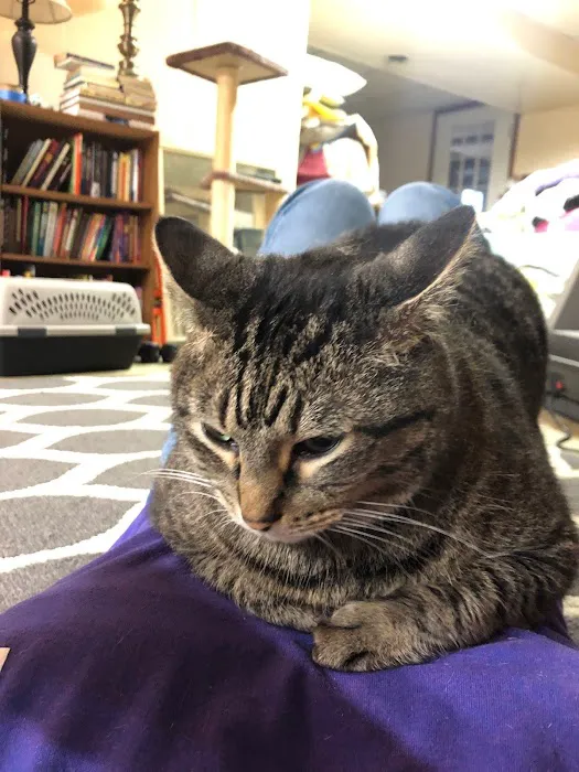 Arrowhead Veterinary Services Picture 2