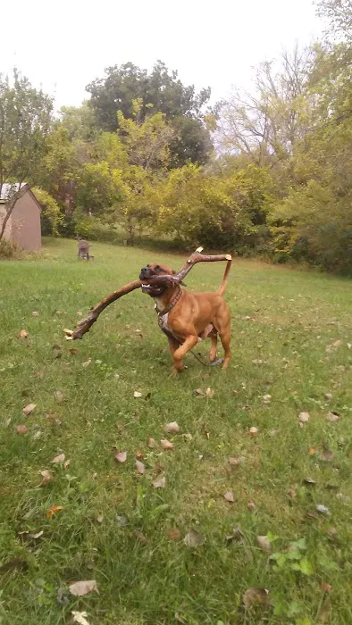 Arrowhead Veterinary Services Picture 1