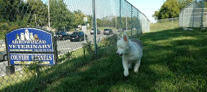 Arrowhead Veterinary Services Picture 9