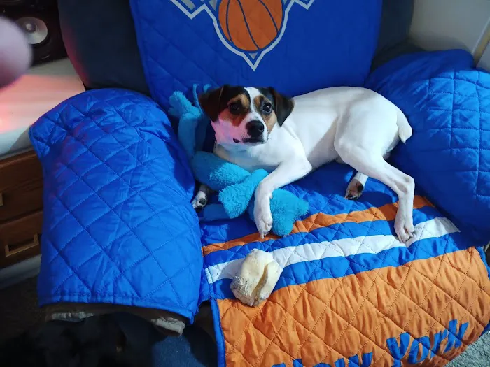 Arrowhead Veterinary Services Picture 7