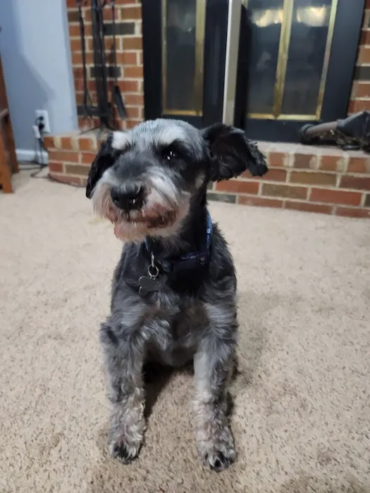 Old Town Veterinary Care Picture 1