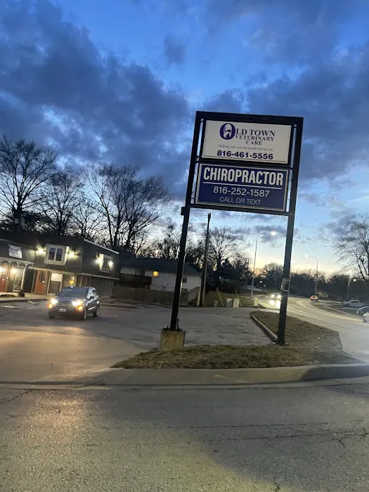 Old Town Veterinary Care Picture 3