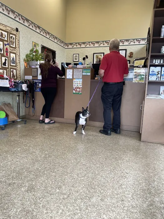 Old Town Veterinary Care Picture 6