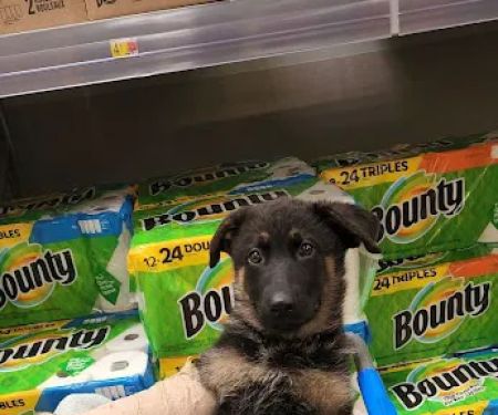 Osage Veterinary Clinic