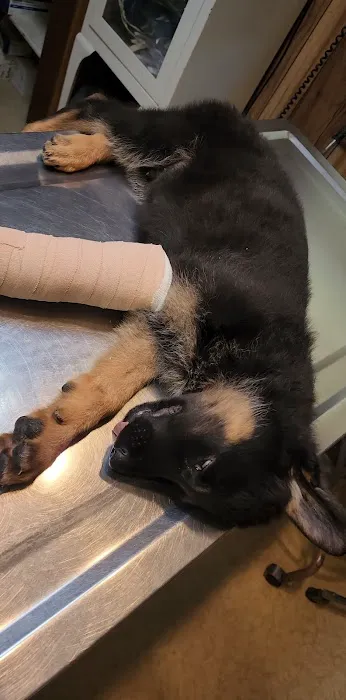 Osage Veterinary Clinic Picture 2