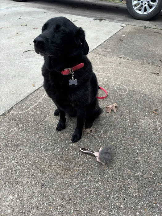 Osage Animal Hospital Picture 5