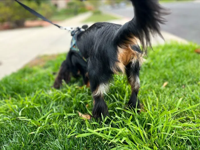 Osage Animal Hospital Picture 6