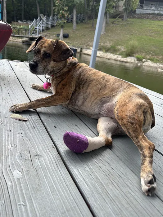 Osage Animal Hospital Picture 4