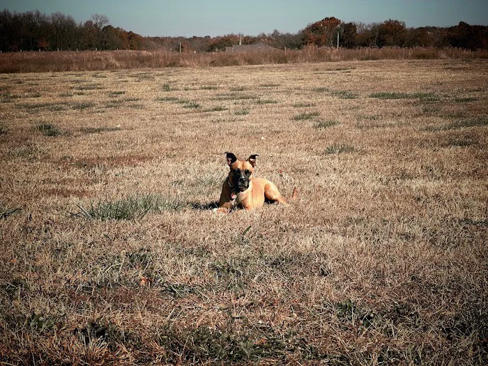 Osage Animal Hospital Picture 9