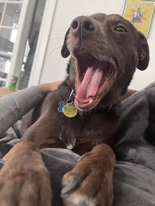 Osage Animal Hospital Picture 7