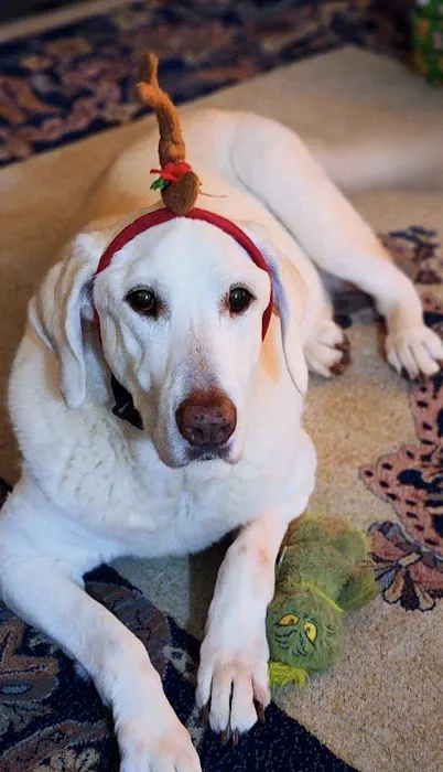 Osage Animal Hospital Picture 10