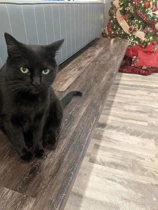 Lake Hills Veterinary Clinic Picture 1