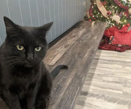 Lake Hills Veterinary Clinic