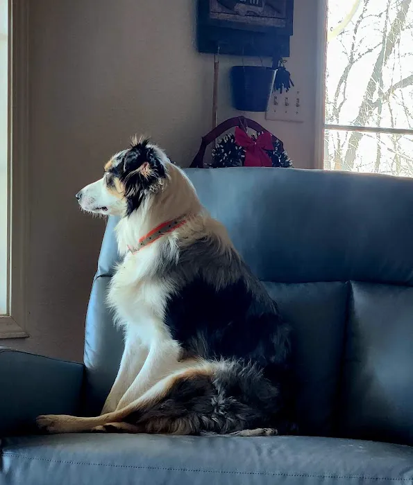 Lake Hills Veterinary Clinic Picture 3