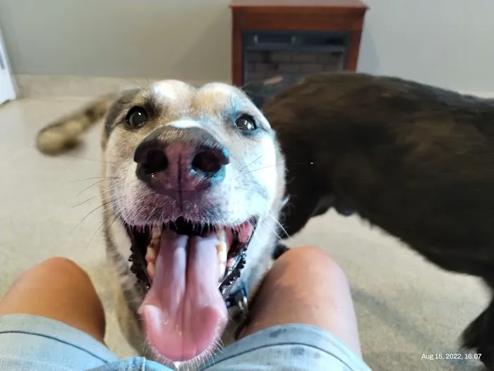 Lake Hills Veterinary Clinic Picture 2