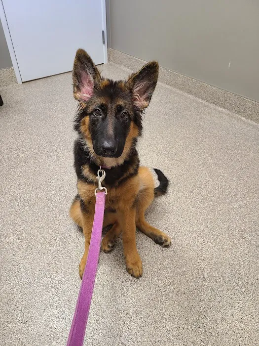 Lake Hills Veterinary Clinic Picture 5