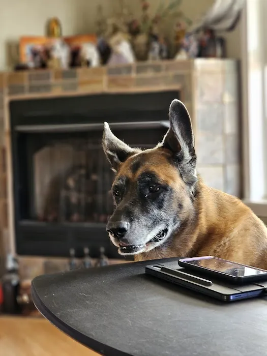 Lake Hills Veterinary Clinic Picture 7