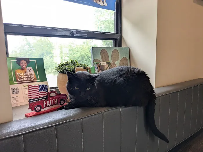 Lake Hills Veterinary Clinic Picture 8