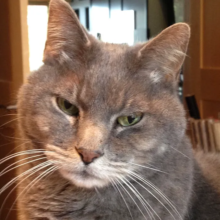 Lake Hills Veterinary Clinic Picture 9