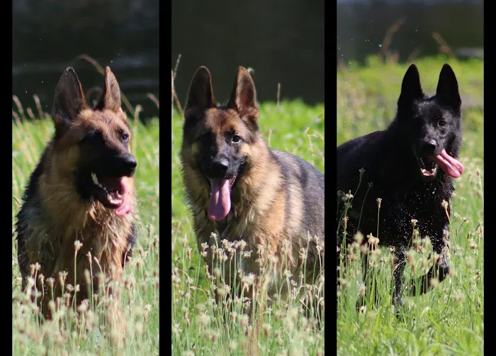 R Veterinary at The Lake Picture 1