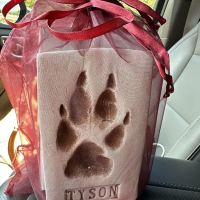 Affinity Veterinary Cremations ico