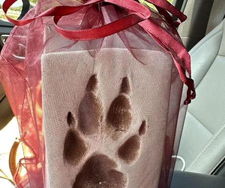 Affinity Veterinary Cremations