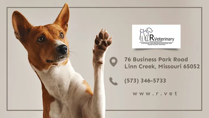 R Veterinary Group Picture 2