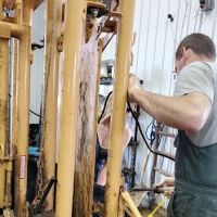 Benton County Veterinary Services ico