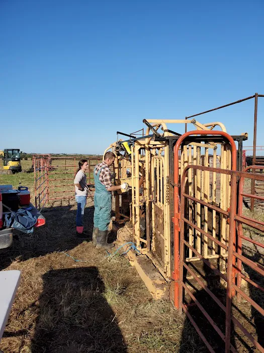 Benton County Veterinary Services Picture 3