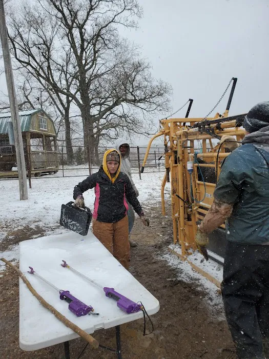 Benton County Veterinary Services Picture 2