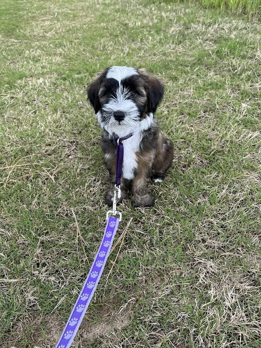 Advanced Pet Care of Sedalia Picture 1