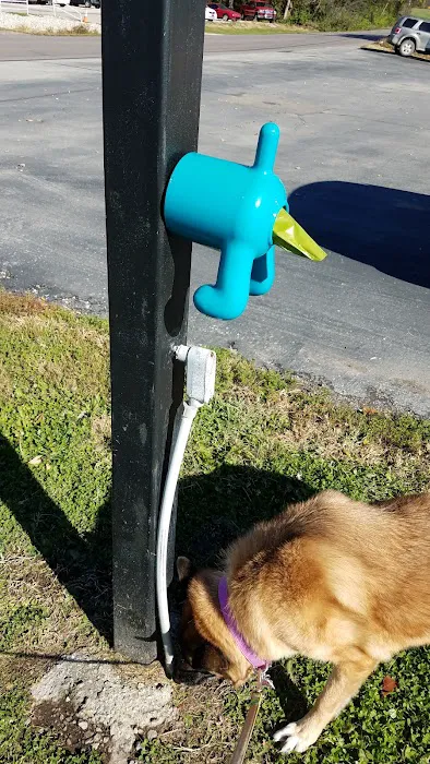 Advanced Pet Care of Sedalia Picture 10