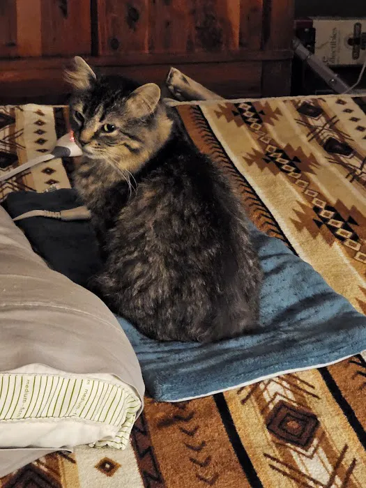 Warsaw Vet Clinic Picture 2