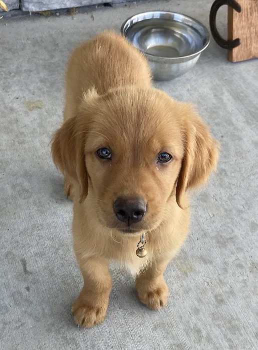 Warsaw Vet Clinic Picture 5