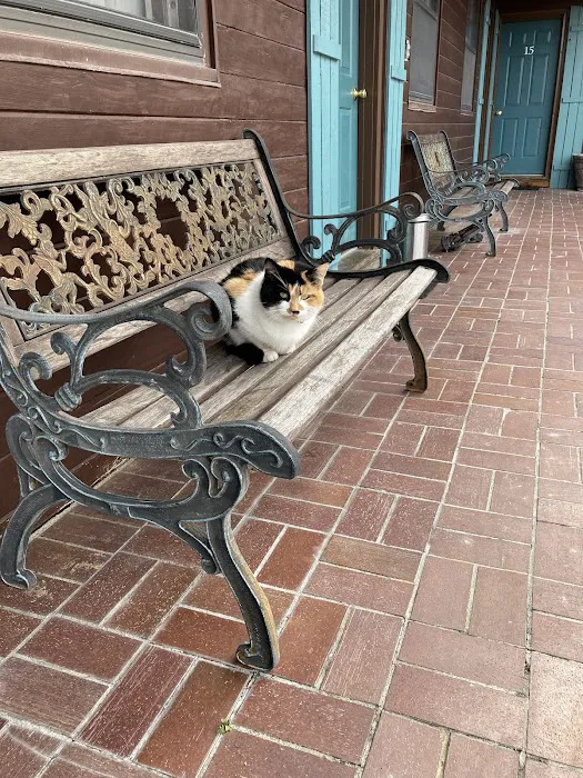 Warsaw Vet Clinic Picture 7